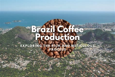 Farroupillan Rebellion; A Fight for Regional Autonomy and Brazilian Coffee Production Dominance